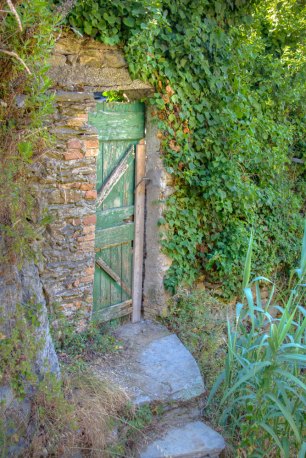 Green-Door